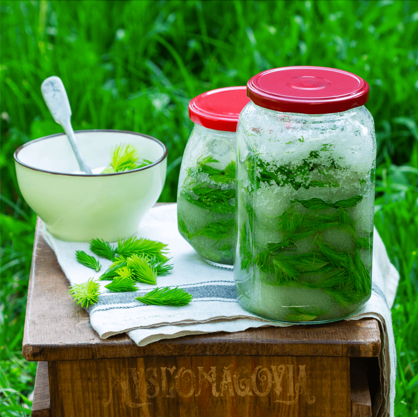 Smrekovy-sirup-vyroba
